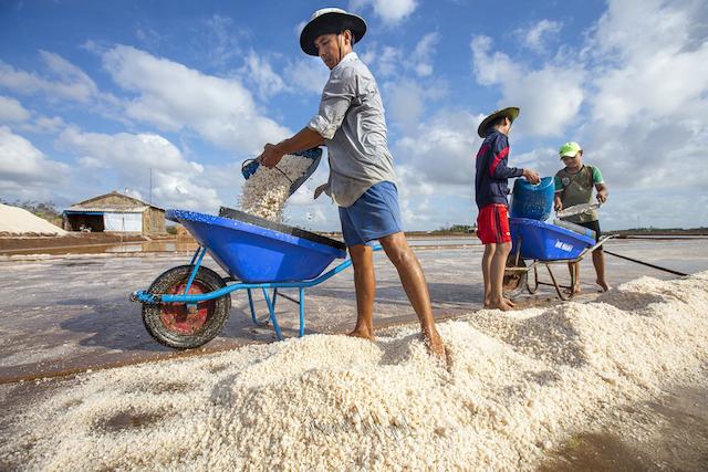 Lao động nông thôn ở Bạc Liêu rất cần sự liên kết và hỗ trợ của HTX, DN