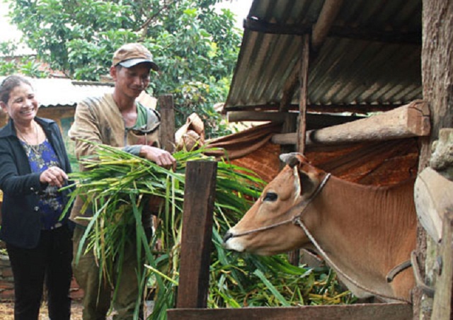 Chú trọng hoàn thành các tiêu chí về thu nhập, sản xuất và giảm nghèo để về đích NTM vào cuối năm 2010 (Ảnh: TL)