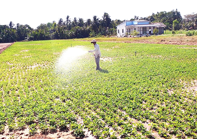 Các mô hình sản xuất nông nghiệp bền vững sẽ tiếp tục được huyện thúc đẩy hướng tới mục tiêu xóa nghèo (Ảnh TL)