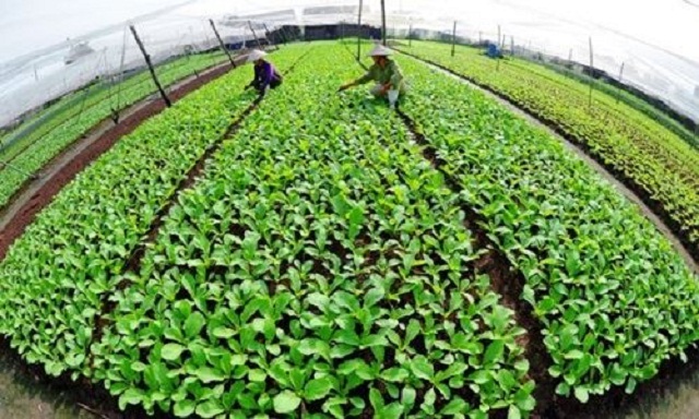 Đẩy mạnh các phong trào thi đua góp phần đẩy nhanh quá trình xây dựng nông thôn mới (Ảnh: TL)