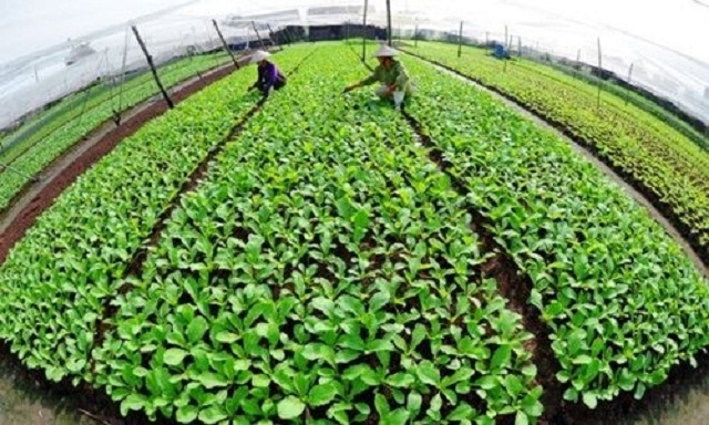 Đẩy mạnh các phong trào thi đua góp phần đẩy nhanh quá trình xây dựng nông thôn mới (Ảnh: TL)