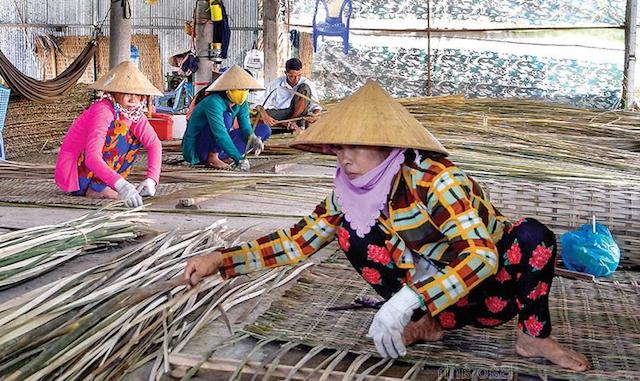 Nhiều Tổ hợp tác, HTX ở Cà Mau tạo việc làm cho nhiều lao động nữ