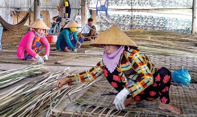 Nhiều Tổ hợp tác, HTX ở Cà Mau tạo việc làm cho nhiều lao động nữ