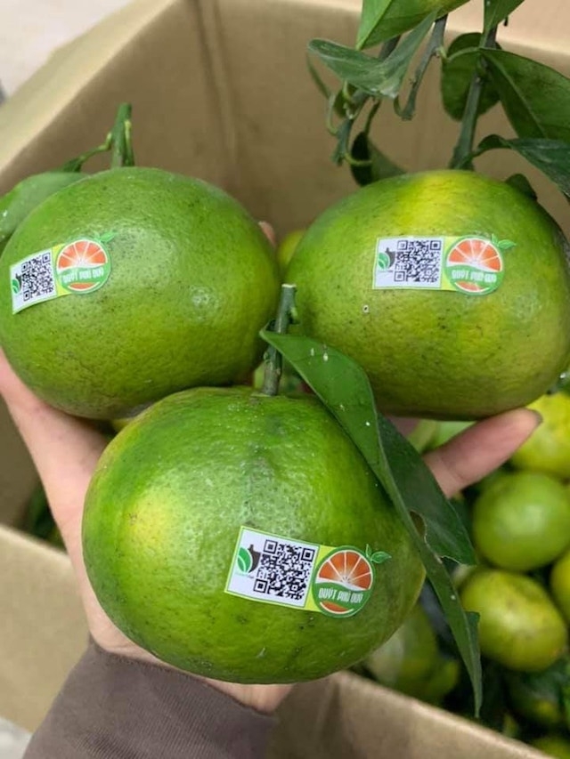 Các sản phẩm của HTX Việt Xanh đều được gắn mã QR code (Ảnh: TL)