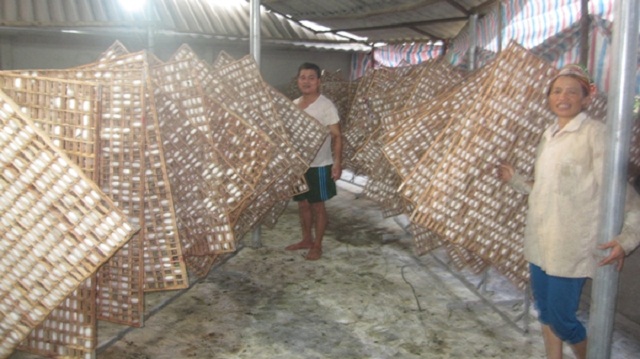 Sử dụng né gỗ ô vuông nên hiện tượng kén đôi giảm triệt để (Ảnh: TL)