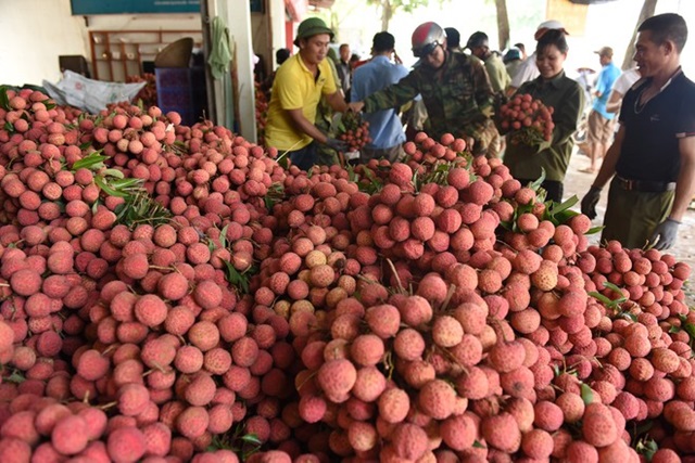 Quả vải U hồng của Việt Nam sắp cập cảng Australia (Ảnh minh họa/Internet)