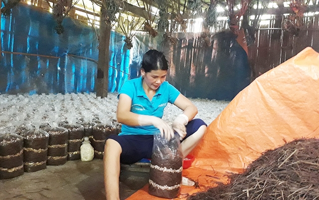 Ngân Sơn đang có nhiều cá nhân xuất sắc trong công cuộc xóa đói, giảm nghèo (Ảnh Tư liệu)