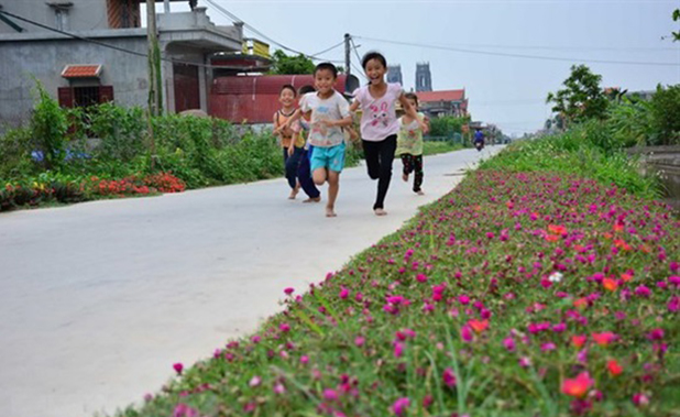 Đa dạng hóa trong sản xuất thúc đẩy phát triển nông thôn mới tại huyện Nam Trực (Ảnh:TL)