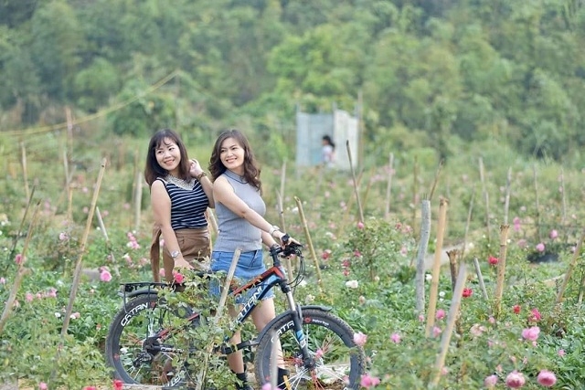 Khách đến du lịch trải nghiệm tại vườn hồng của HTX Hoa Hồng (Ảnh: TL)