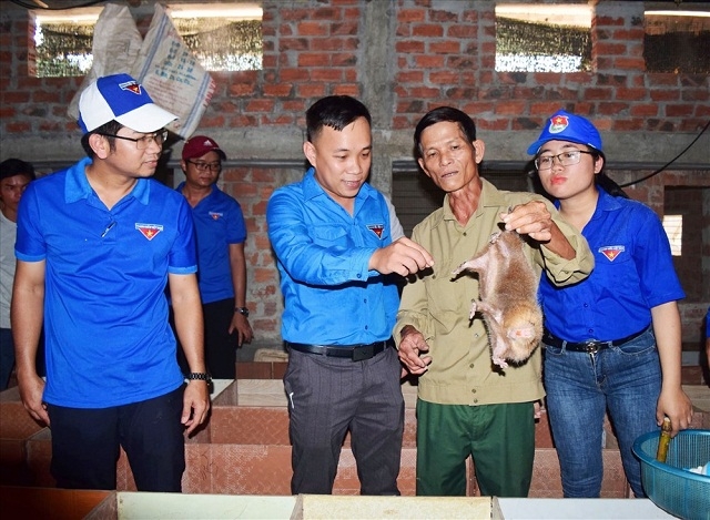 Mô hình nuôi dúi của ông Lê Văn Sáng (Ảnh: TL)