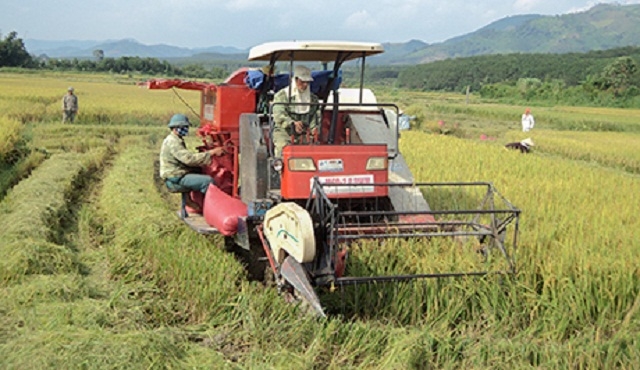 Tiêu chí sản xuất sẽ được chú trọng đẩy mạnh trong thời gian tới (Ảnh: TL)
