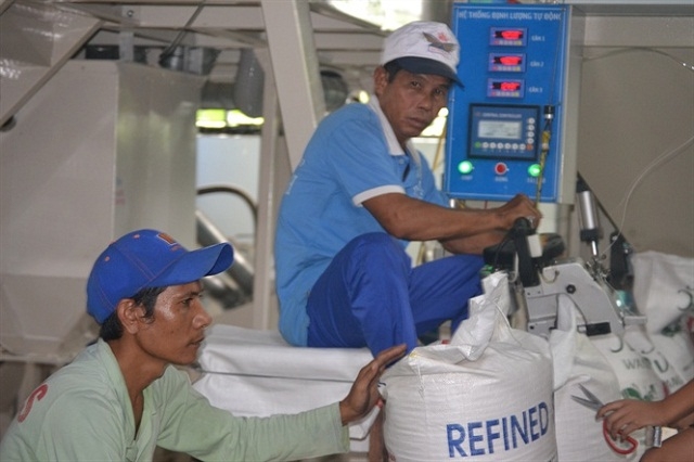 Doanh nghiệp thu mua và sơ chế lúa gạo cho HTX Danh Tiến (Ảnh:TL)