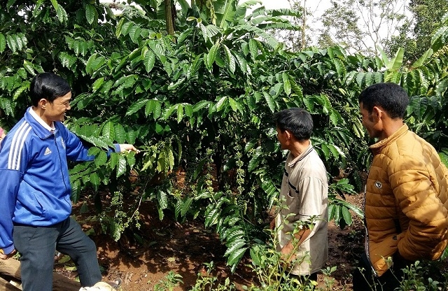 Tỷ lệ hộ nghèo giảm nhanh nhờ các chính sách hỗ trợ phát triển sản xuất đa dạng sinh kế (Ảnh: TL)