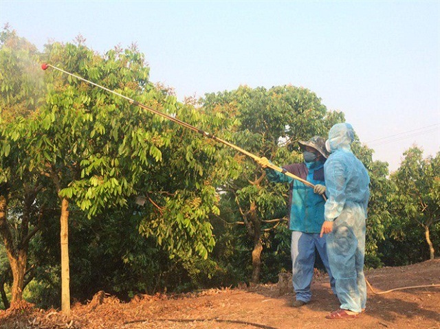 Thành viên HTX Phương Nam phun thuốc bảo vệ thực vật sinh học cho cây trồng (Ảnh:TL)