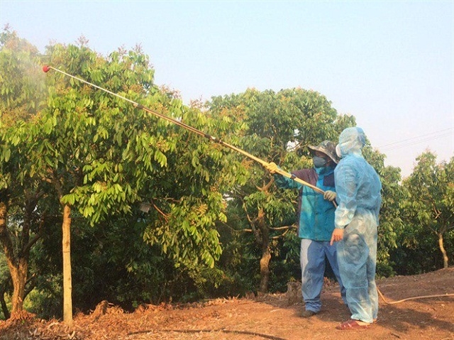Thành viên HTX Phương Nam phun thuốc bảo vệ thực vật sinh học cho cây trồng (Ảnh:TL)