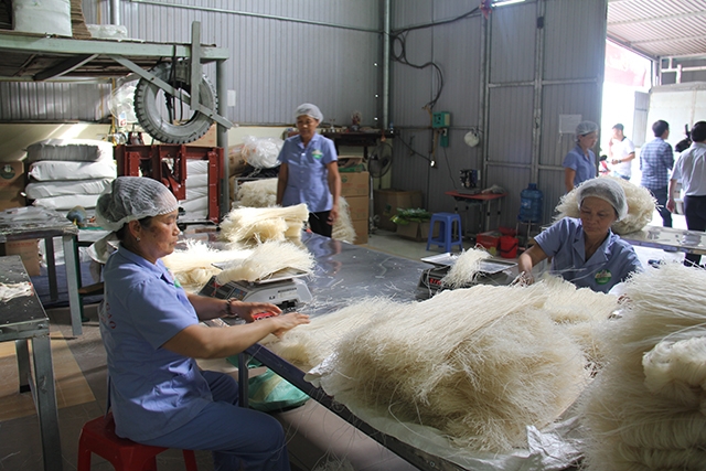 HTX Mỳ gạo Hùng Lô tạo việc làm cho nhiều lao động là phụ nữ địa phương (Ảnh: Phạm Duy)