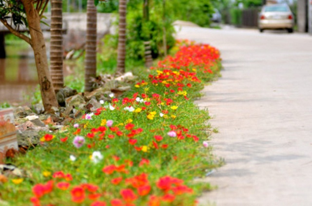 Xã duy trì các tuyến đường tự quản vệ vệ sinh môi trường (Ảnh:TL)