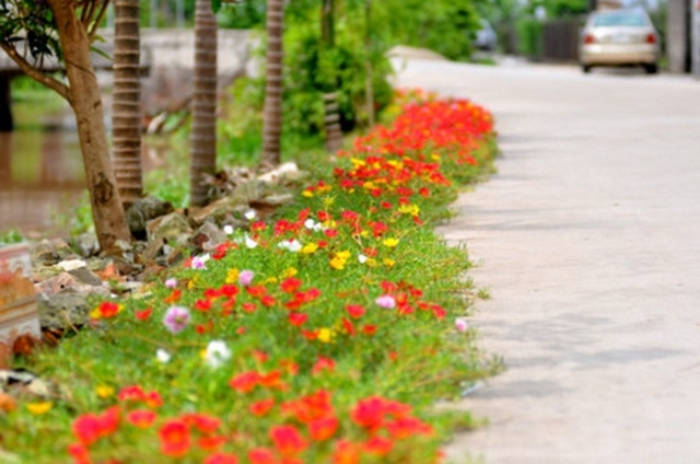 Xã duy trì các tuyến đường tự quản vệ vệ sinh môi trường (Ảnh:TL)