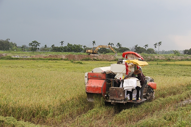 Dồn điền dổi thửa giúp các HTX ở Quảng Trị cơ giới hoá trong sản xuất, nâng cao giá trị và hiệu quả sản xuất (Ảnh: Phạm Duy)