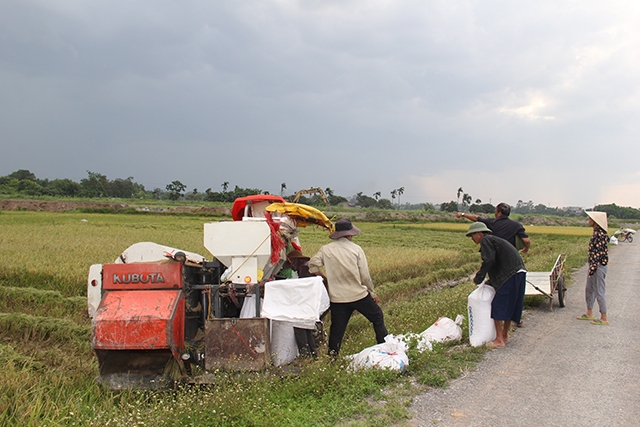 Luật HTX năm 2012 đã giúp HTX Phương Xuân vươn lên phát triển đa dạng dịch vụ