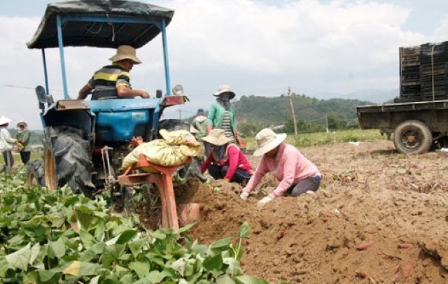 Những chính sách hỗ trợ sinh kế giúp đồng bào dân tộc phát triển sản xuất, xóa đói giảm nghèo (Ảnh: TL)