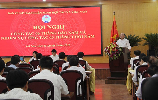 Quang cảnh hội nghị