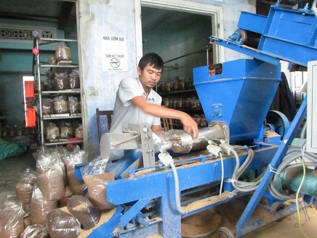 Sau khi được đào tạo nghề, anh Nguyễn Văn Nhi thành lập HTX nấm Nhơn Phước để phát triển nghề trồng nấm.