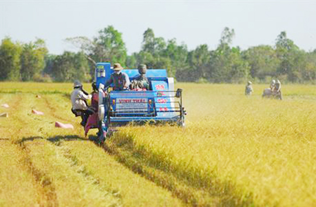 Cần thêm nhiều chính sách hỗ trợ, thúc đẩy HTX phát triển (Ảnh TL)