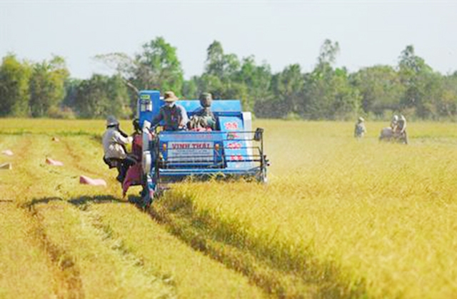 Cần thêm nhiều chính sách hỗ trợ, thúc đẩy HTX phát triển (Ảnh TL)