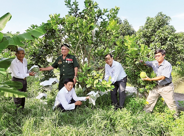 Mô hình hội quán nông nghiệp đang lan tỏa tích cực tại Đồng Tháp (Ảnh Tư liệu)