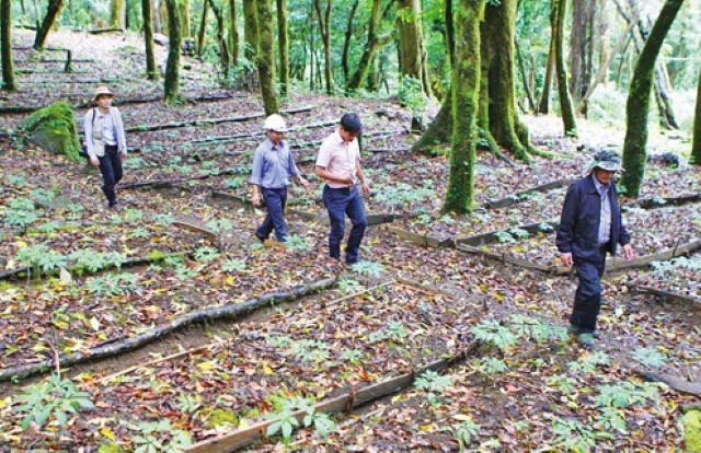 Phát triển du lịch gắn với nông nghiệp ứng dụng cao mở ra hướng đi mới góp phần nâng cao thu nhập, xóa đói giảm nghèo (Ảnh: TL)