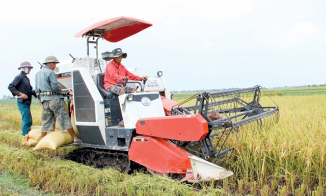 Ứng dụng tiến bộ khoa học trong sản xuất gắn với tái cơ cấu nông nghiệp, xây dựng NTM .