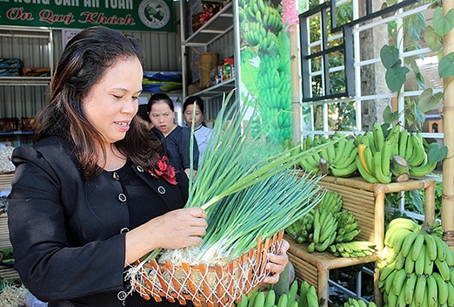 Bà Lê Thị Quỳnh Tường - Chủ tịch Hội liên hiệp phụ nữ A Lưới giới thiệu quy trình sản xuất sản phẩm sạch của HTX (Ảnh: TL)