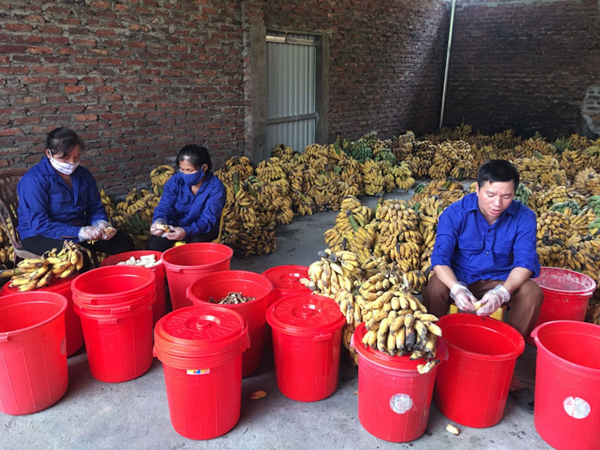 Tham gia lớp học, các giám đốc HTX sẽ được đào tạo để nâng cao năng lực quản lý, đưa HTX phát triển.