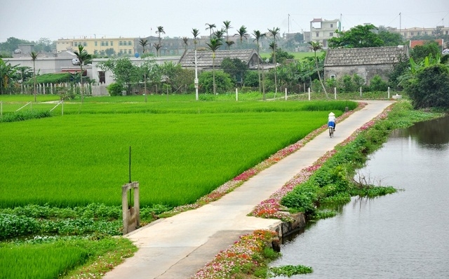 Những con đường bê tông trải dài đến tận chân ruộng giúp nâng cao hiệu quả sản xuất.