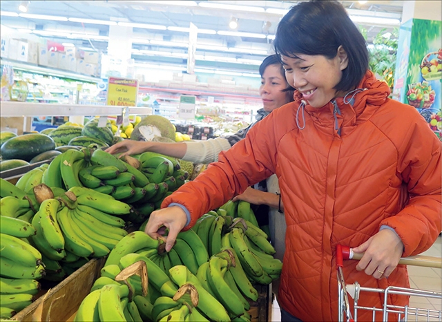 Sản phẩm chuối A Lưới của HTX sản xuất và kinh doanh nông sản an toàn dần khẳng định vị thế tại hệ thống siêu thị BigC (Ảnh: TL)