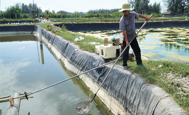 Việc đào tạo nghề nông nghiệp trong tỉnh Quảng Ngãi nhất thiết là phải theo nhu cầu của địa phương