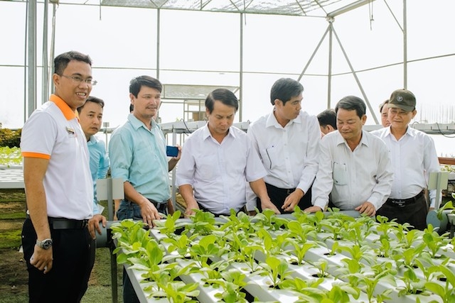 Nhiều mô hình nông nghiệp ở Quảng Ngãi hoạt động hiệu quả khi đào tạo nghề nông nghiệp được chú trọng