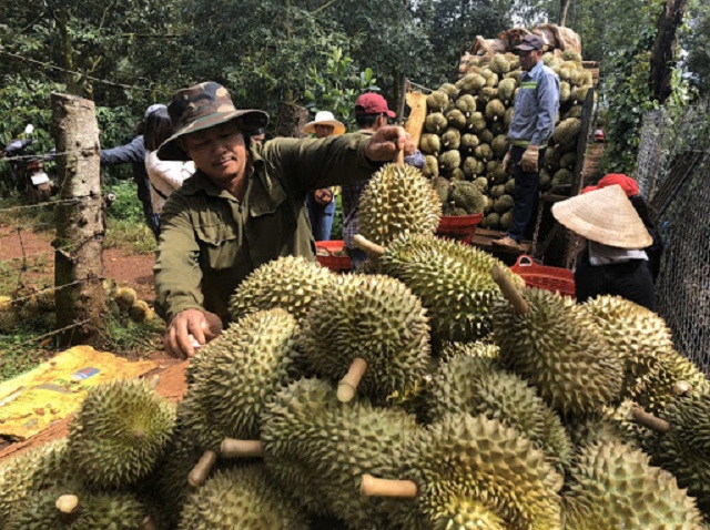 Kinh tế hợp tác là một đầu tàu quan trọng trong phát triển sản xuất, xây dựng NTM.
