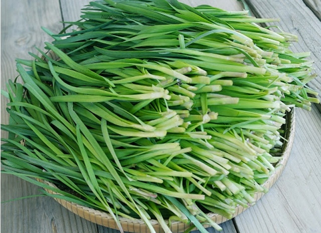 Liên kết trồng hẹ giúp nâng cao hiệu quả kinh tế