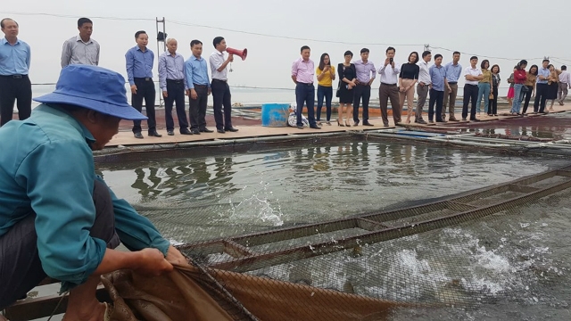 Hà Giang có lợi thế nhiều lòng hồ thuỷ điện có thể tận dụng nuôi cá lồng (Ảnh: TL)