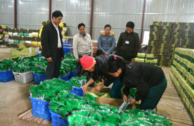 Sản phẩm thủ công mỹ nghệ của HTX nông dân Thanh Thản ngày càng có đầu ra rộng mở (Ảnh: TL)