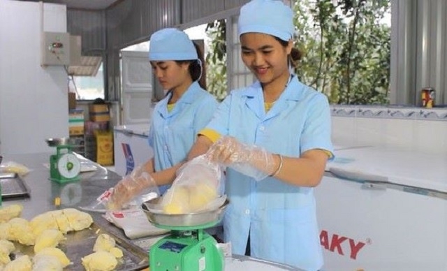 Khu vực kinh tế hợp tác tham gia tích cực vào việc gia tăng giá trị sản phẩm nông sản địa phương (Ảnh: TL)