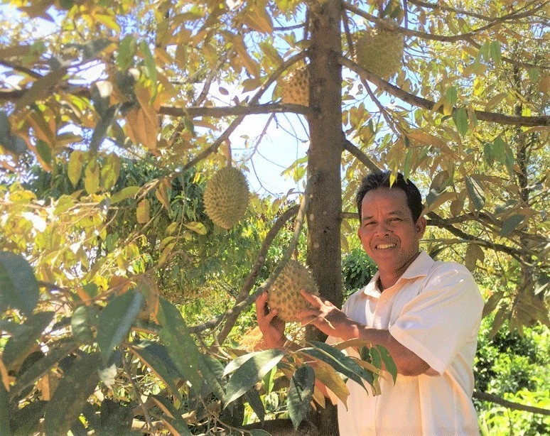 Hiệu quả cao từ đầu tư KHKT vào sản xuất nông nghiệp sạch, góp phần giảm nghèo (Ảnh: TL)