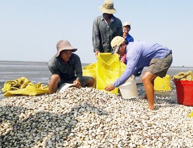 HTX Tiến Thành đang là điểm sáng trong xây dựng NTM tại Long Hòa.
