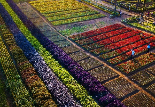 Một góc khu du lịch của HTX Đại An (Ảnh: Tuấn Vũ)