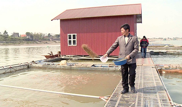 Hiệu quả các mô hình tăng nhờ liên kết sản xuất theo hướng hiện đại, chú trọng bảo vệ môi trường (Ảnh TL)