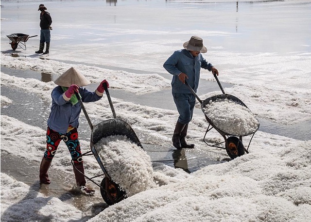 Nhờ mối liên kết 4 nhà người dân vẫn gắn bó với nghề làm muối (Ảnh:TL)