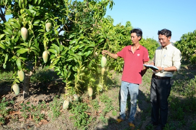 Đã xuất hiện những tỷ phú nông dân nhờ mạnh dạn chuyển đổi cơ cấu cây trồng (Ảnh: TL)