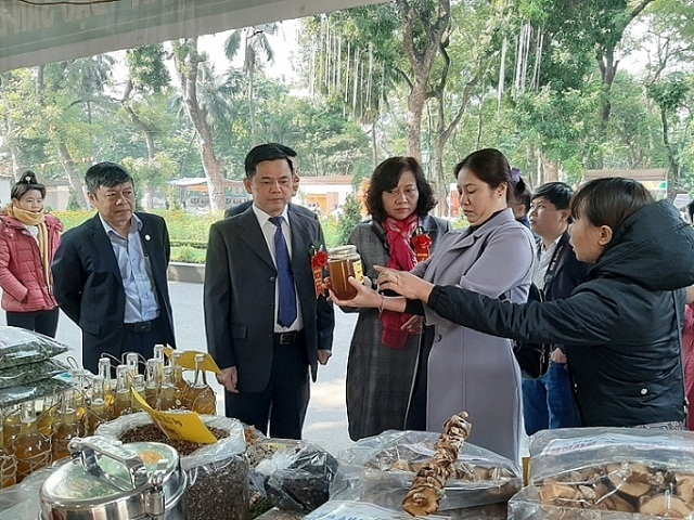 Cần đẩy mạnh quảng bá, tiêu thụ hàng hóa, đặc biệt là sản phẩm hàng hóa, nông sản cho miền núi, biên giới, vùng sâu, vùng xa, vùng đồng bào dân tộc và hải đảo cho các HTX (Ảnh: TL)